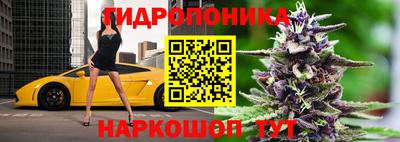 мдпв Красноармейск