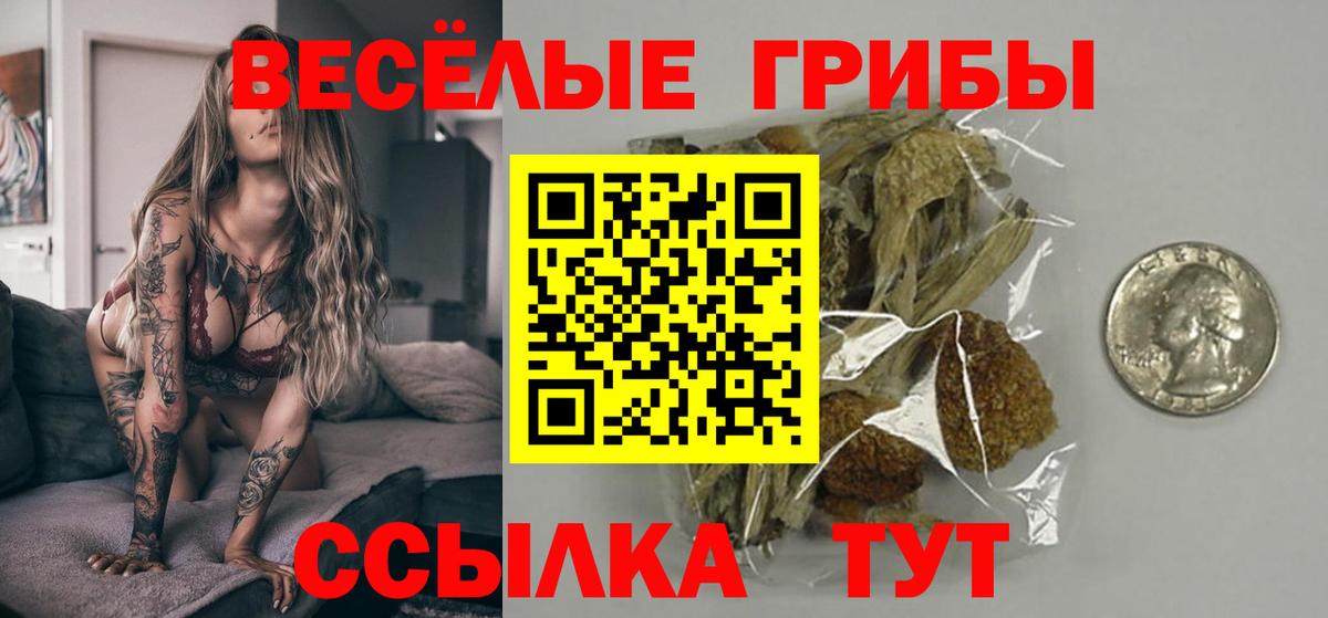 Галлюциногенные грибы Magic Shrooms  Псилоцибиновые грибы MAGIC MUSHROOMS  Вход с VPN  купить наркотик  Ливны 